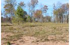 Tract 12 - OKLAHOMA LAND & REAL ESTATE AUCTION, 438 +/- Acres offered in 13 Tracts